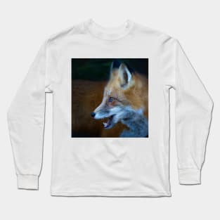 Red Fox - Algonquin Park, Canada Long Sleeve T-Shirt